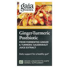 Ginger-Turmeric Postbiotic Экстракт корня куркумы Ginger-Turmeric Postbiotic Экстракт корня куркумы