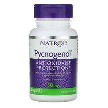 Natrol, Пикногенол 50 мг, Pycnogenol 50 mg60, 60 капсул