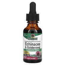 Echinacea & Goldenseal Standardized Fluid Extract