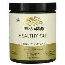 Terra Origin, Healthy Gut Honey Lemon, 232 g