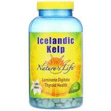 Natures Life, Icelandic Kelp 1000, Ісландські водорості, 1000 ...
