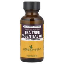 Pure Essential Oil Tea Tree Органический чай Herb
