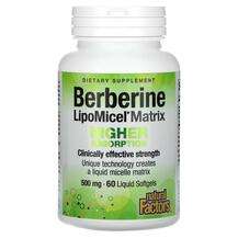 BioSil, Berberine LipoMicel Matrix 500 mg, 60 Liquid Softgels