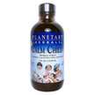 Planetary Herbals, Calm Child Herbal Syrup, 118.28 ml