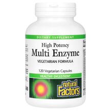 Multi Enzyme High Potency Vegetarian Formula Natural