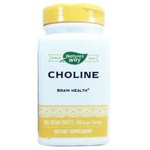 Nature's Way, Холин 500 мг, Choline 500 mg, 100 таблеток