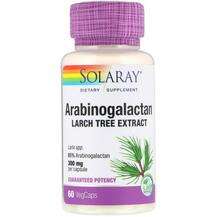 Solaray, Arabinogalactan Larch 300 mg, Екстракт Модрини 300 мг...