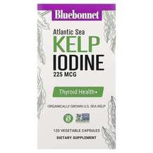 Atlantic Sea Kelp Iodine Ламинария Bluebonnet