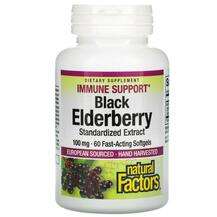 Natural Factors, Black Elderberry 100 mg, Сироп з Бузини, 60 F...