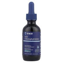 Concentrated Ionic Chlorophyll Natural Mint 6000 mg