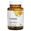 Фото товару Thorne, Bacillus Coagulans, Пробіотики, 60 капсул
