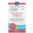 Nordic Naturals, Prenatal DHA, ДГК, 90 капсул