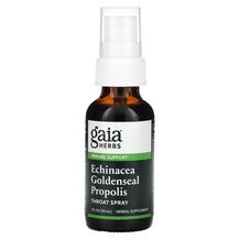 Ехінацея та Жовтокорінь Срей Echinacea Goldenseal Ехінацея та Жовтокорінь Срей Echinacea Goldenseal