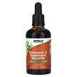 Фото товару Echinacea & Goldenseal Glycerite Alcohol-Free, Ехінацея, 60 м