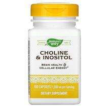 Nature's Way, Choline & Inositol, Холін і Інозитол 500 мг,...