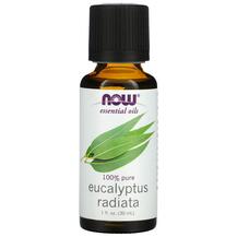 Ефірна олія Pure Essential Oil Eucalyptus Radiata