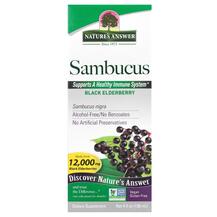 Чорна Бузина Sambucus Black Elder Berry Extract