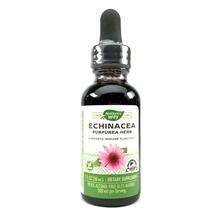 Nature's Way, Echinacea Alcohol Free 99.9%, 30 ml
