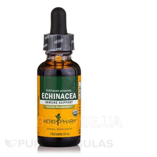 Echinacea Immune Support, Ехінацея, 30 мл