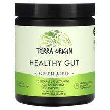 Terra Origin, Healthy Gut Green Apple, Підтримка кишечника, 246 г