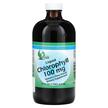 World Organic, Liquid Chlorophyll 100 mg, Хлорофіл, 474 мл