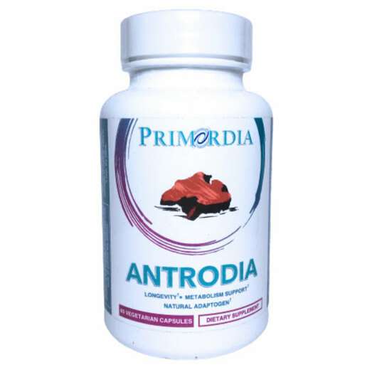 Antrodia 440 mg, Антродія Червоний камфорний гриб, 60 капсул
