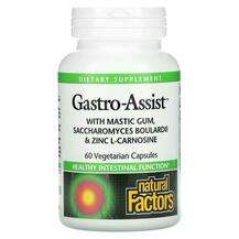 Natural Factors, Мастиковая смола, Gastro-Assist, 60 капсул