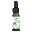 Фото применение Seeking Health, Фермент Лактаза, Lactase Drops, 15 мл