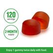 Фото применение Уксус, ProbioSlim Apple Cider Vinegar Gummies, 120 таблеток