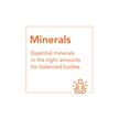 Фото використання NOW, Colloidal Minerals Raspberry, Колоїдні мінерали, 946 мл