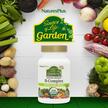 Фото применение Source of Life Garden Certified Organic B-Complex, B-комплекс, 60