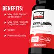 Фото применение Force Factor, Ашваганда, Ashwagandha 600 mg, 60 капсул