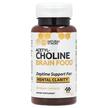 Фото применение Поддержка мозга, Acetyl-Choline Brain Food, 60 капсул
