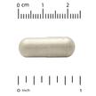 Фото применение Think Support with Ginkgo Biloba Skullcap, Гинкго Билоба, 60 капс