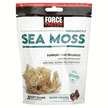 Фото використання Fundamentals Sea Moss Salted Caramel