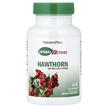 Фото використання Natures Plus, Herbal Actives Hawthorne 150 mg, Трави, 60 капсул