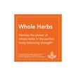 Фото применение Концентрат чая Оджибва 450 мг, Ojibwa Herbal Extract, 180 капсул