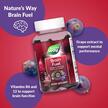 Фото використання Nature's Way, Brain Fuel Grape, Підтримка мозку, 60 таблеток