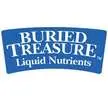 Buried Treasure