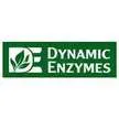 Dynamic Enzymes