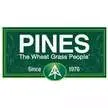 Pines International