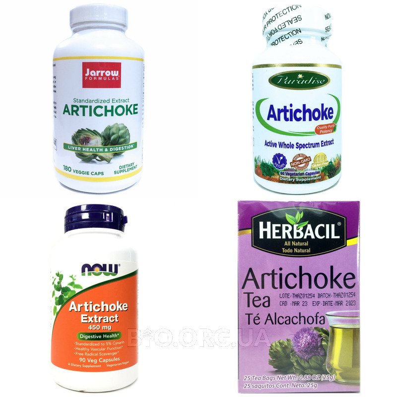 Экстракт Артишока (Artichoke Extract)