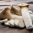 Грибы Эринги (King Trumpet Mushrooms) из США