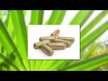 Видео обзор на Gaia Herbs, Поддержка простаты, Prostate Health, 120 капсул