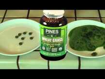 Pines International, Wheat Grass 500 mg