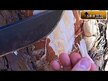 Видео обзор на Pine Bark Extract 240 mg, Экстракт сосновой коры 240 мг, 90 капсу