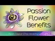 Видео обзор на Nature's Answer, Пассифлора 500 мг, Passionflower, 60 капсул