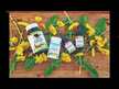 Відео огляд на Eclectic Herb, Quercetin 350 mg, Кверцетин 350 мг, 90 капсул