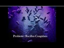 Solaray, Bacillus Coagulans 5 Billion