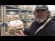 Видео обзор на Грибы Хвост Индейки, Turkey Tail 550 mg, 60 капсул